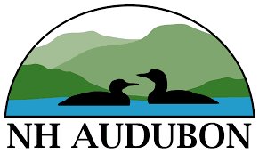 NH Audubon Website